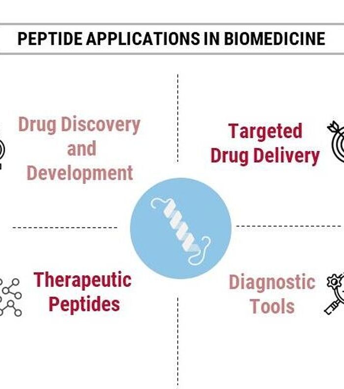 Peptides in biomedicine: Harnessing nanotechnology