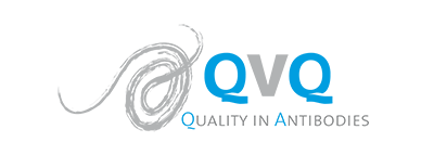 QVQ Logo Antibodies