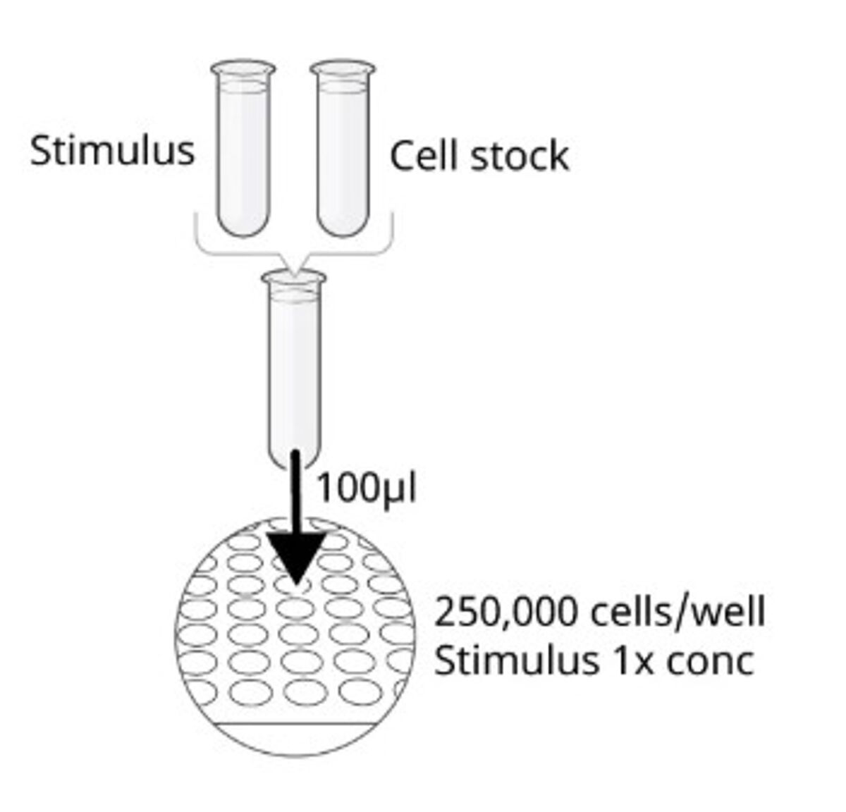 Mix the cells and stimuli in tubes before addition to the plate