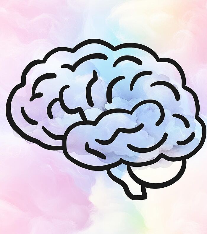 Why is the Brain Soft?