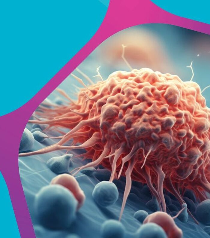 Selecting a Model System for Functional Antibody Studies