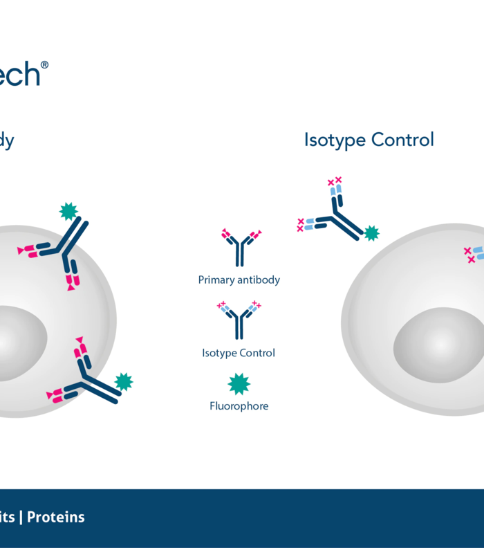 Antibody Isotype Controls