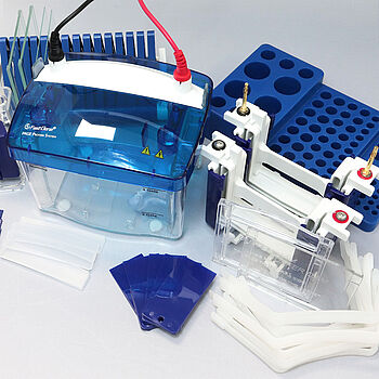 Protein Electrophoresis System