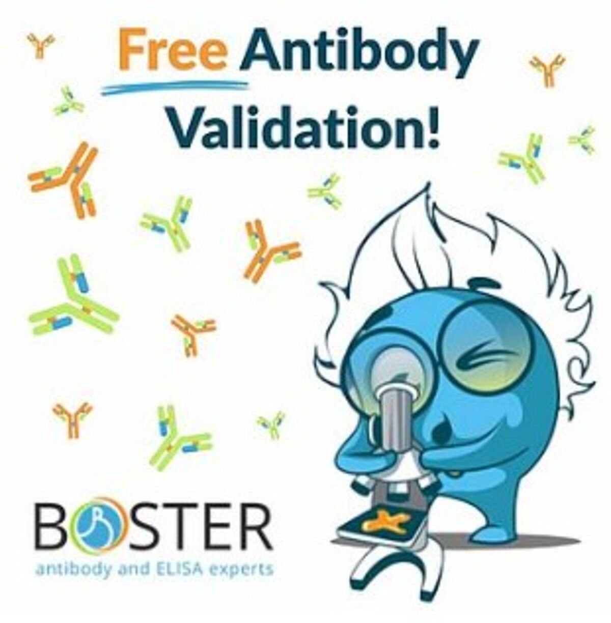 Boster Bio free antibody validation