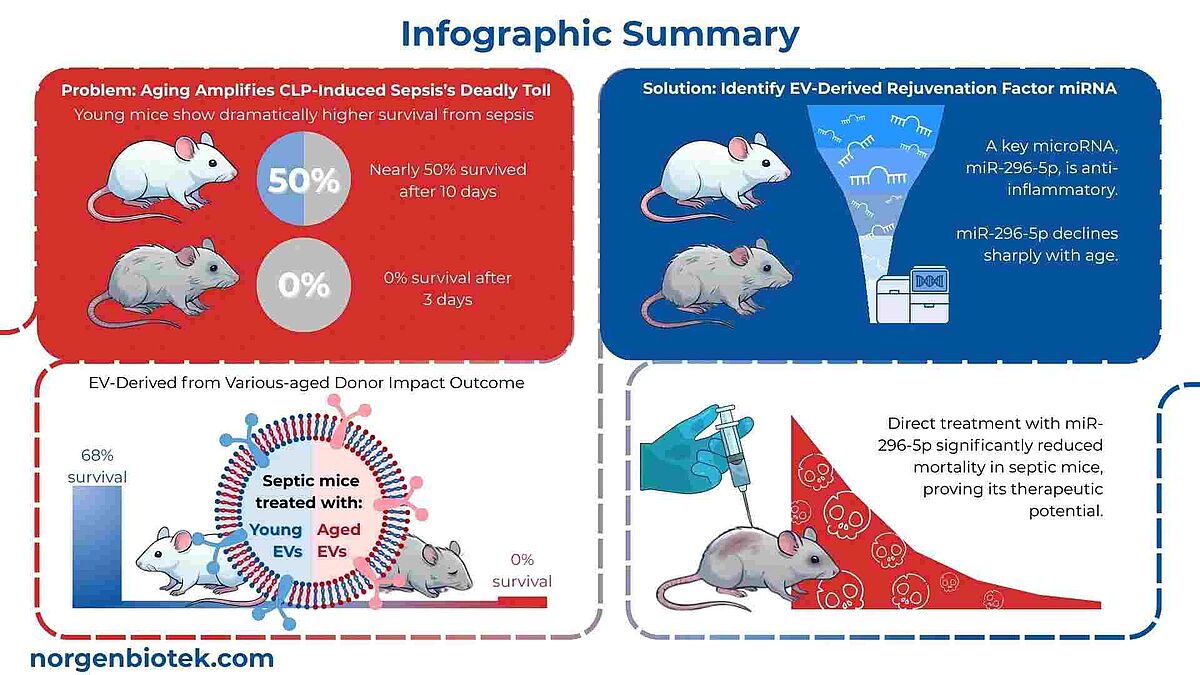 Infographic content adapted from Cai et al., Journal of Extracellular Vesicles, 2025.