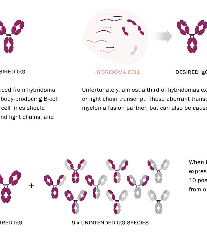 "Fake" monoclonal antibodies