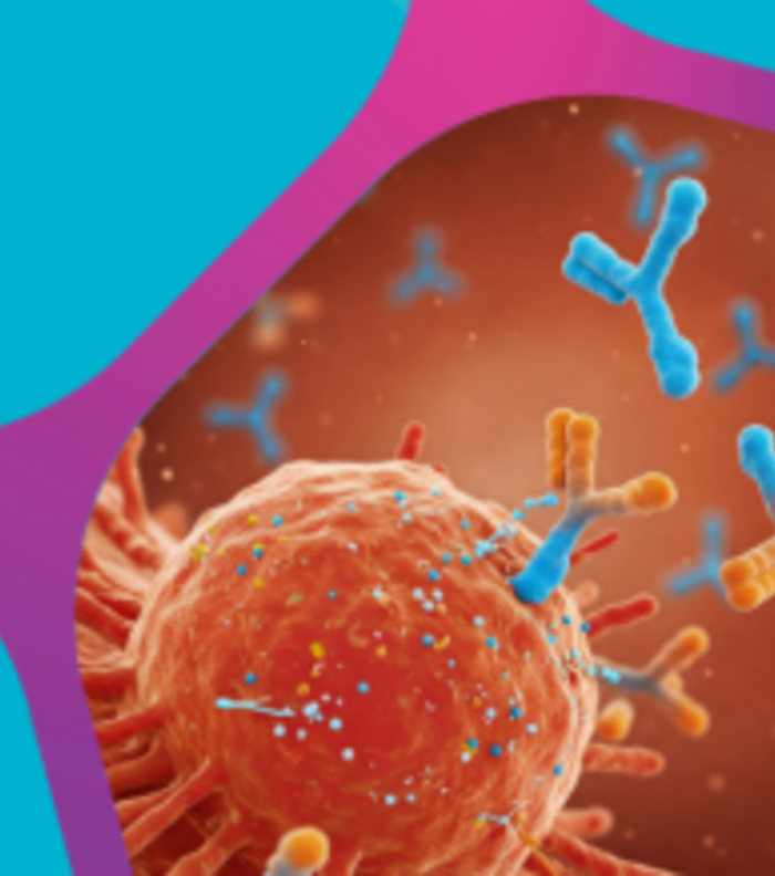 Functional Antibodies Drive Disease Research