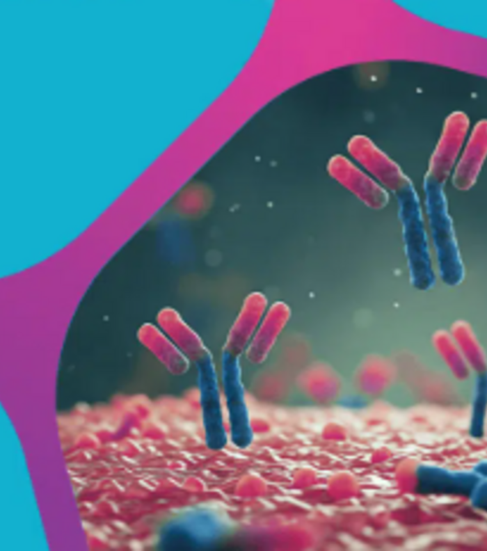 Understanding Antibody Structure and Function