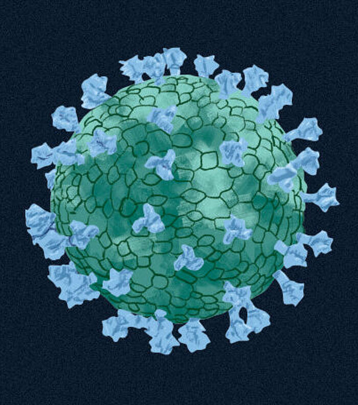 Virus-like Particles and VLP-Displayed Antigens