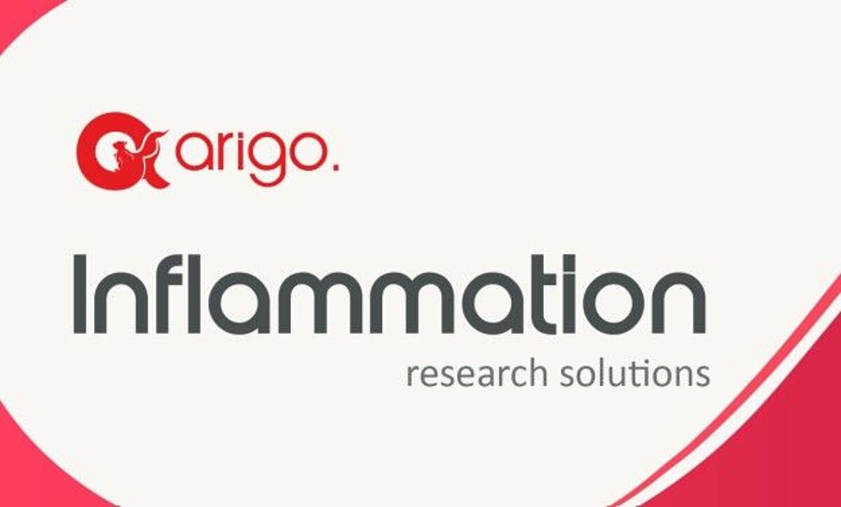 Arigo Promo Banner