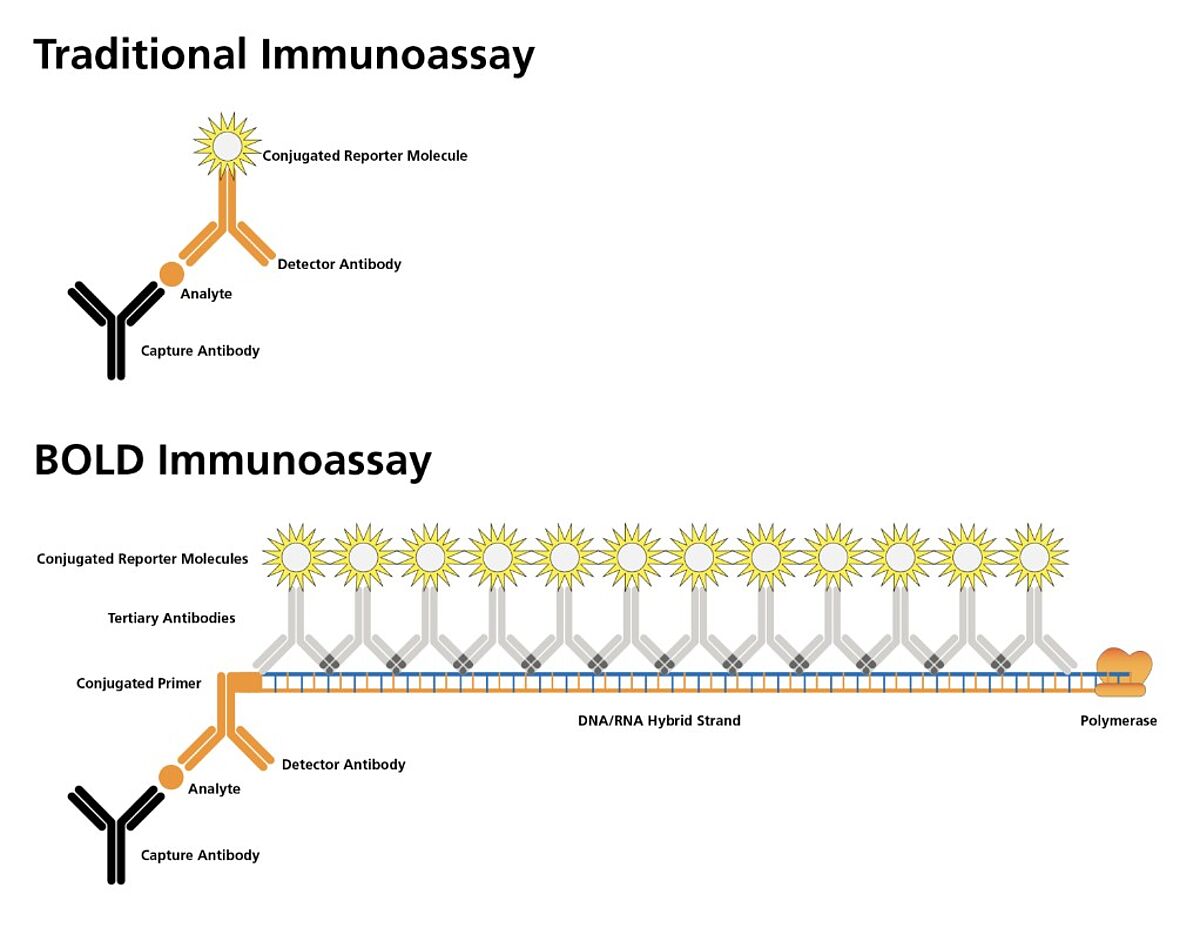 Traditional Immunoassay vs. BOLD Immunoassay Machanism Schematic