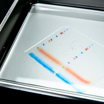 Blocking reagents for western blotting