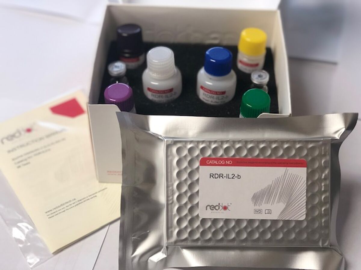 Reddot Biotech High quality ELISA kits for research