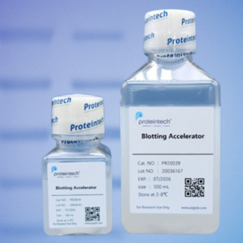 Western Blotting Accelerator