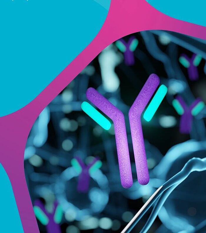 Why Do Premium Antibodies Matter in Functional Studies?