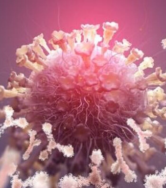 Why Choose One Antibody Format Over Another?