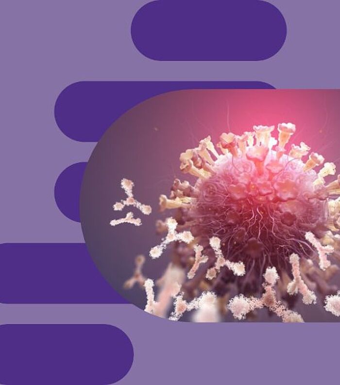 A Guide to Antibody Validation Techniques