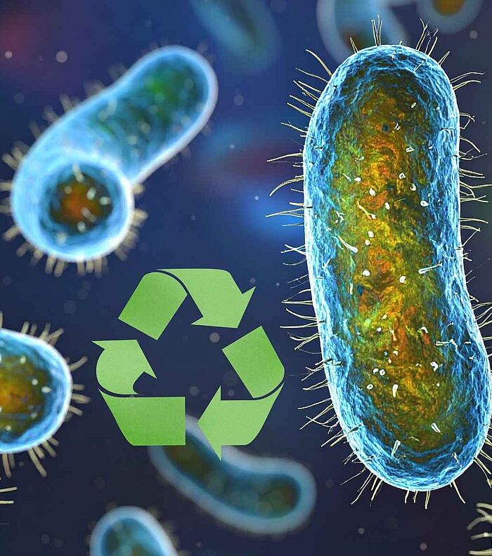 Microbial Engineering Against Plastic Waste