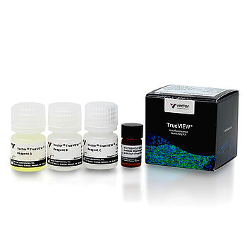 Autofluorescence Quenching Kit -  Vector TrueVIEW