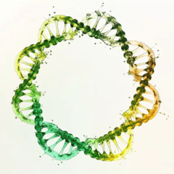 Plasmid DNA Purification Kits