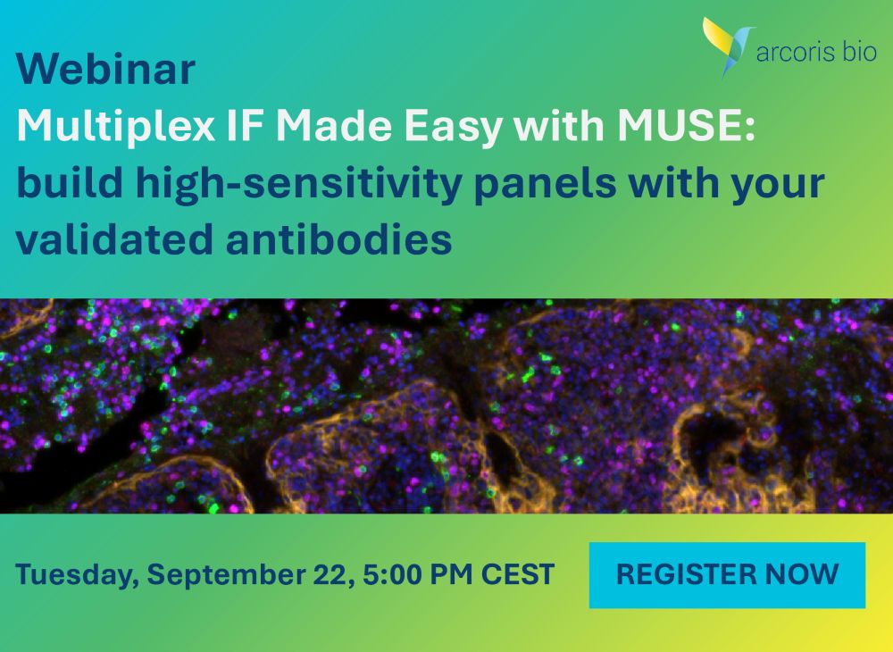 webinar banner