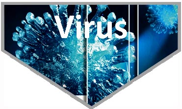 Virus research antibodies by GeneTex