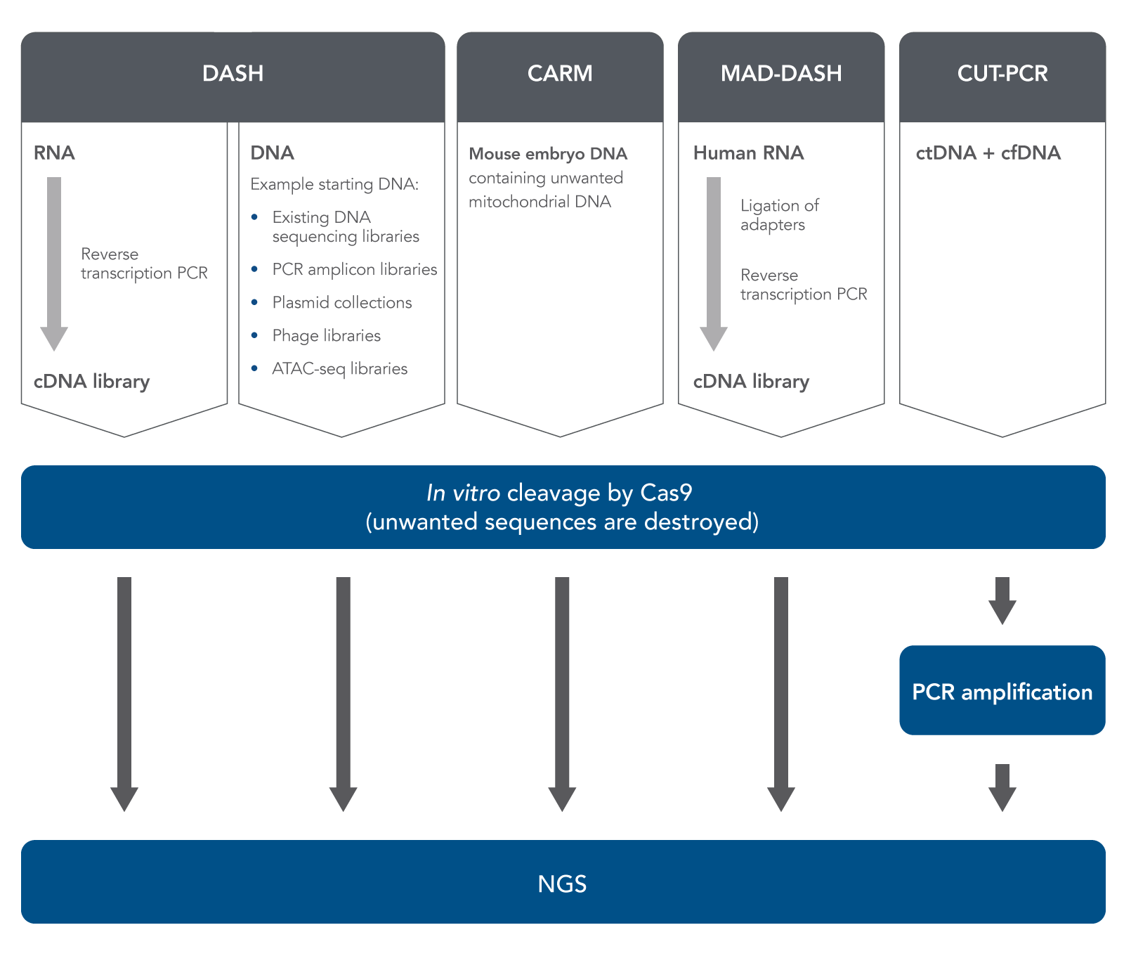 Sequencing Coverage for NGS Experiments