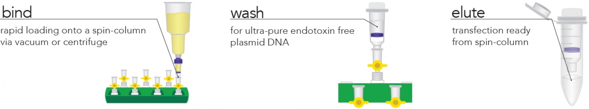 Zymopure Workflow