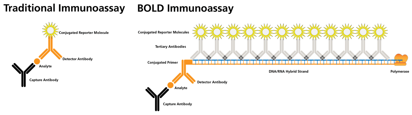 comparison of traditonal assay and BOLD immunassay technology used ba CAVIDI
